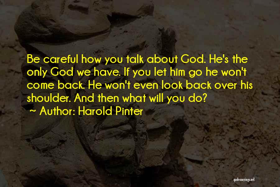 Pinter Harold Quotes By Harold Pinter