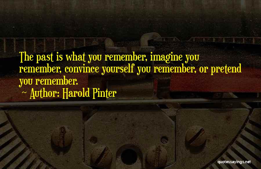 Pinter Harold Quotes By Harold Pinter