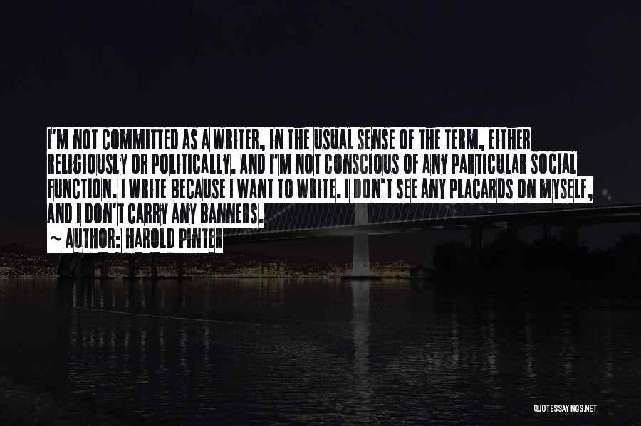 Pinter Harold Quotes By Harold Pinter