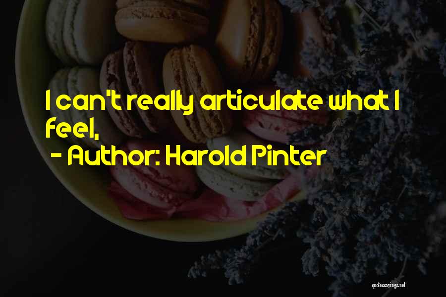 Pinter Harold Quotes By Harold Pinter