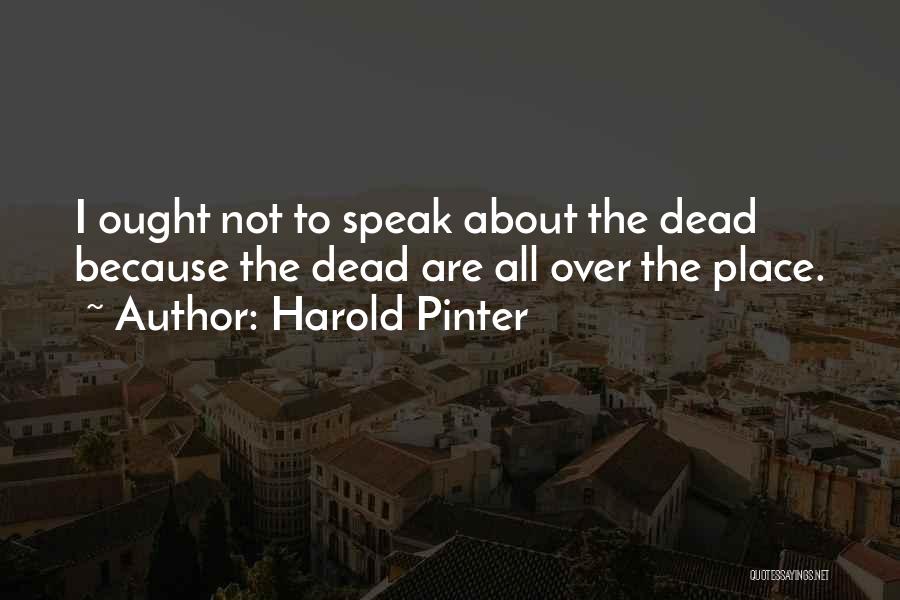 Pinter Harold Quotes By Harold Pinter