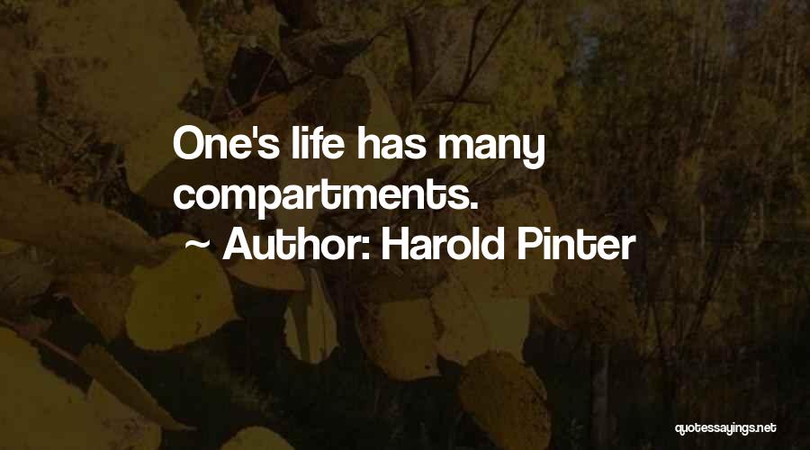 Pinter Harold Quotes By Harold Pinter