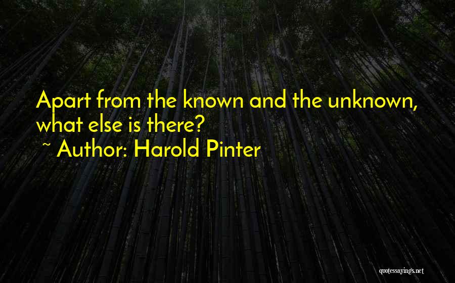 Pinter Harold Quotes By Harold Pinter