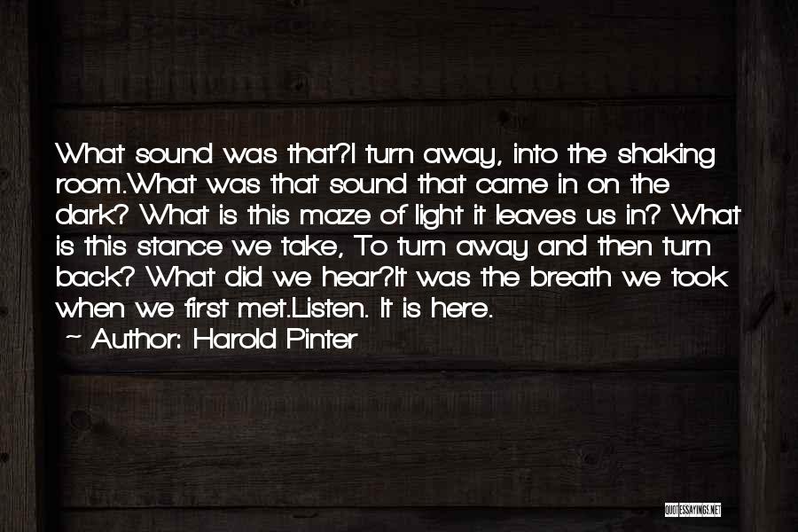 Pinter Harold Quotes By Harold Pinter