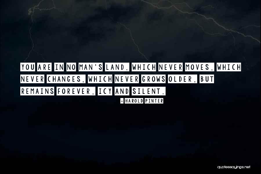 Pinter Quotes By Harold Pinter Pinter Quotes By Harold Pinter