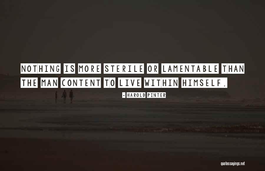 Pinter Quotes By Harold Pinter Pinter Quotes By Harold Pinter