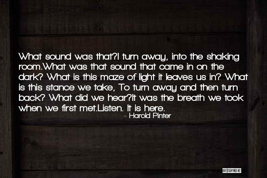 Pinter Quotes By Harold Pinter Pinter Quotes By Harold Pinter