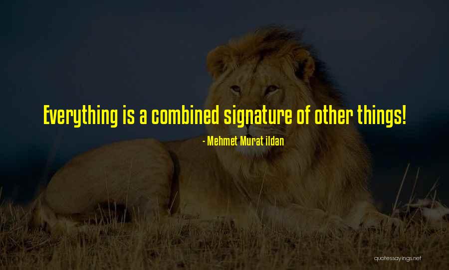 Pintoresco Significado Quotes By Mehmet Murat Ildan Pintoresco Significado Quotes By Mehmet Murat Ildan
