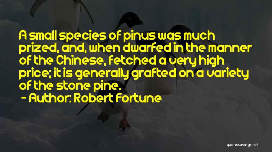 Pinus Quotes By Robert Fortune