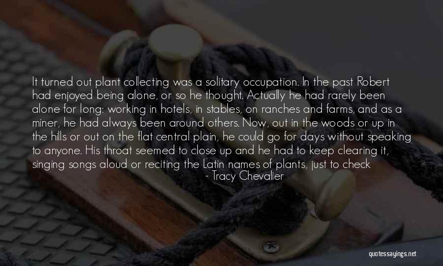 Pinus Quotes By Tracy Chevalier Pinus Quotes By Tracy Chevalier