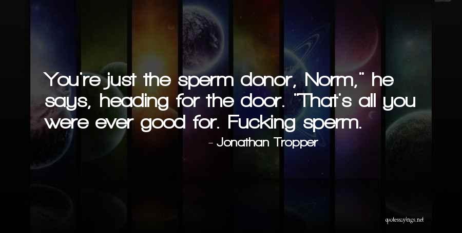 Pinvidic 3 Quotes By Jonathan Tropper Pinvidic 3 Quotes By Jonathan Tropper