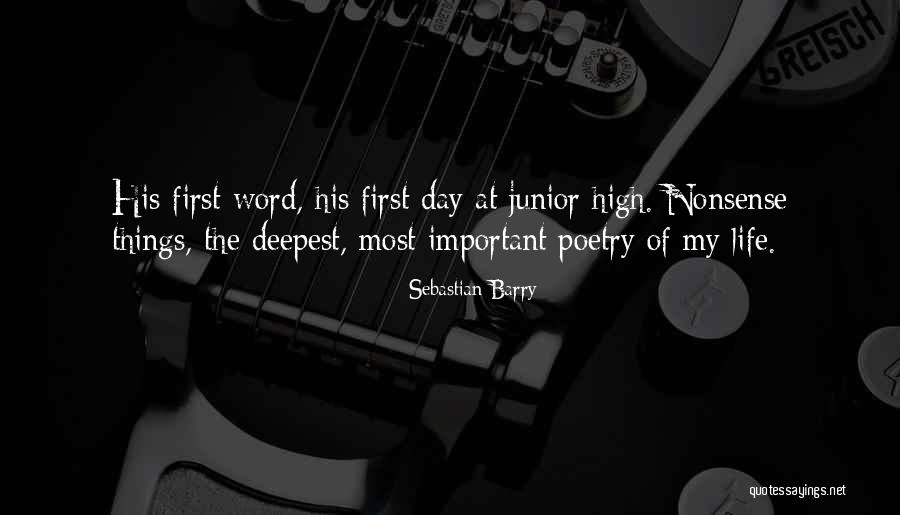 Pinyin Input Quotes By Sebastian Barry