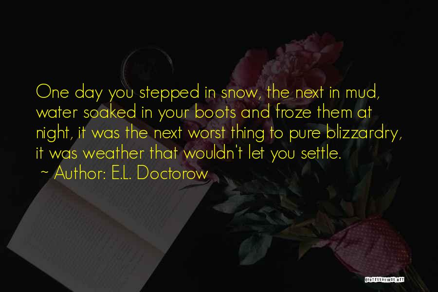Pioneer Life Quotes By E.L. Doctorow