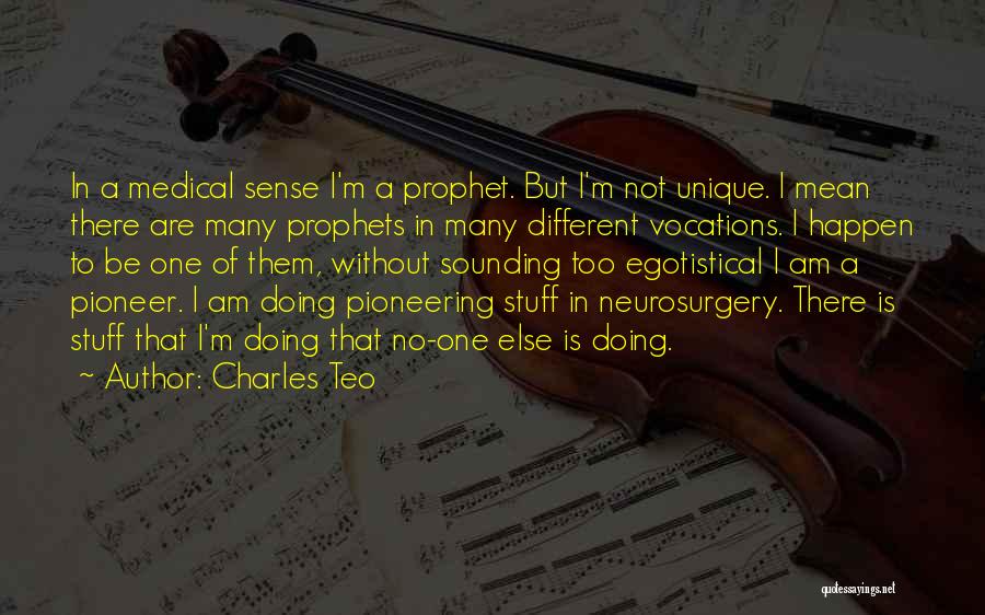 Pioneer Quotes By Charles Teo