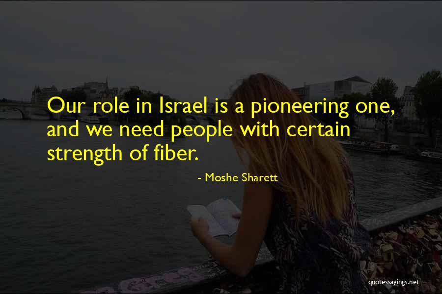 Pioneering Quotes By Moshe Sharett Pioneering Quotes By Moshe Sharett