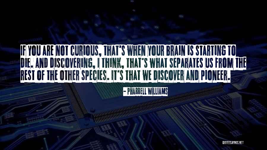 Pioneers The Quotes By Pharrell Williams Pioneers The Quotes By Pharrell Williams