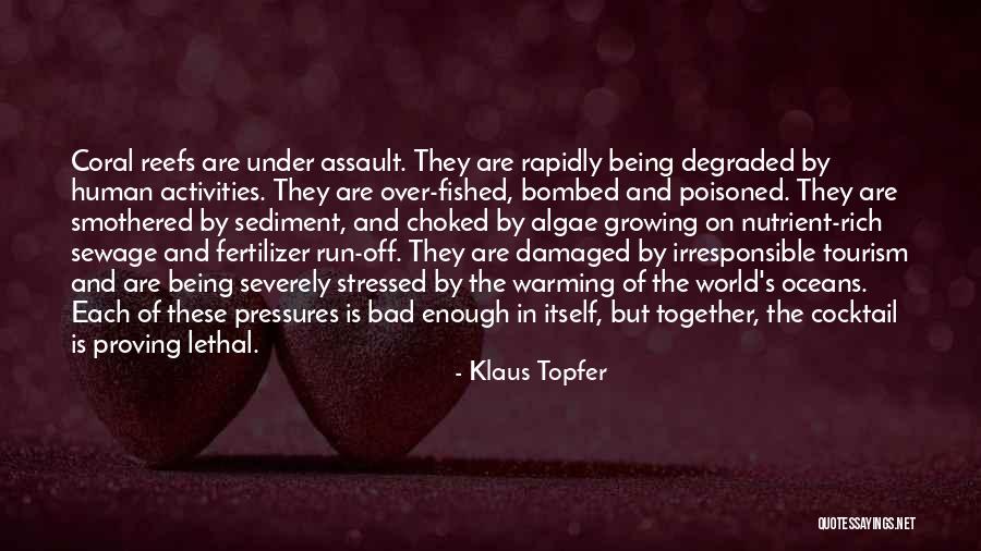 Piontek Construction Quotes By Klaus Topfer Piontek Construction Quotes By Klaus Topfer