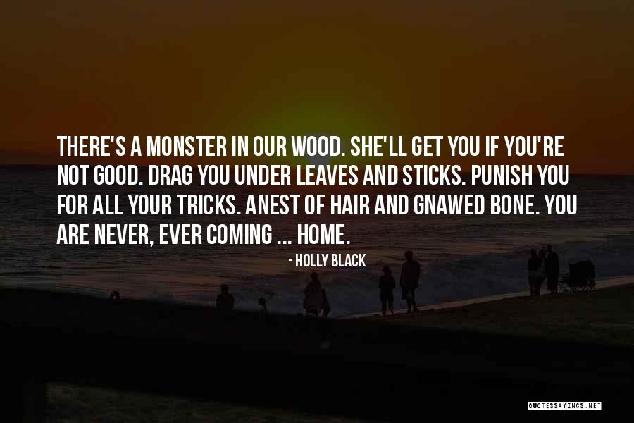 Piores Acidentes Quotes By Holly Black Piores Acidentes Quotes By Holly Black
