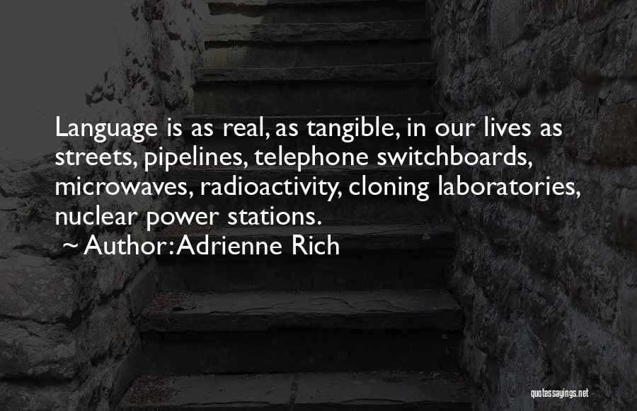 Pipelines Quotes By Adrienne Rich