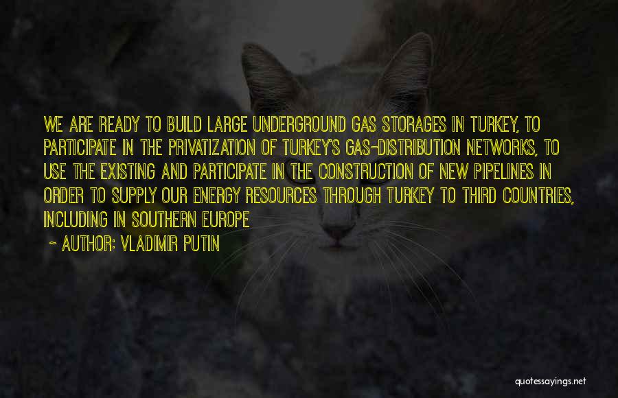 Pipelines Quotes By Vladimir Putin