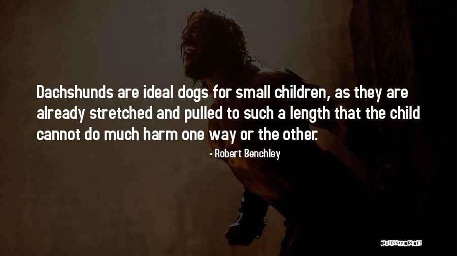 Pipistrelle Quotes By Robert Benchley Pipistrelle Quotes By Robert Benchley