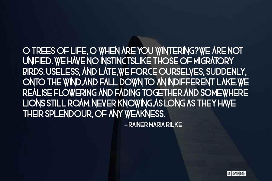 Pipkorn Construction Quotes By Rainer Maria Rilke Pipkorn Construction Quotes By Rainer Maria Rilke
