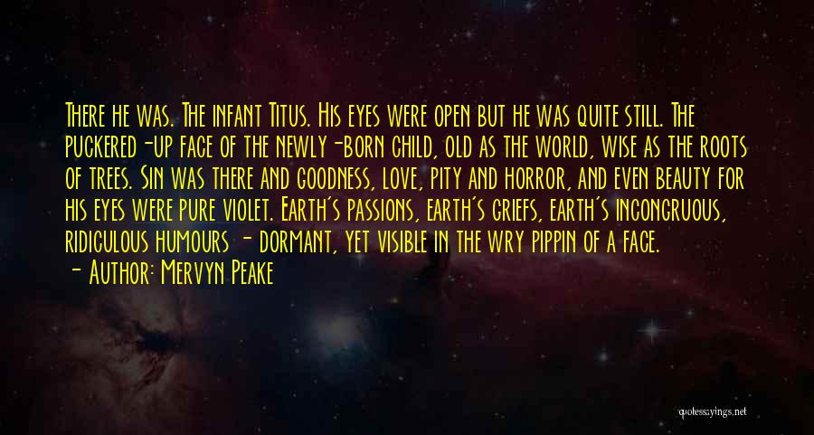 Pippin Quotes By Mervyn Peake