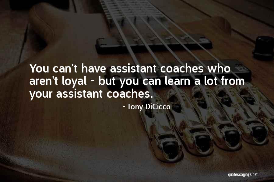 Pippo Calo Quotes By Tony DiCicco Pippo Calo Quotes By Tony DiCicco
