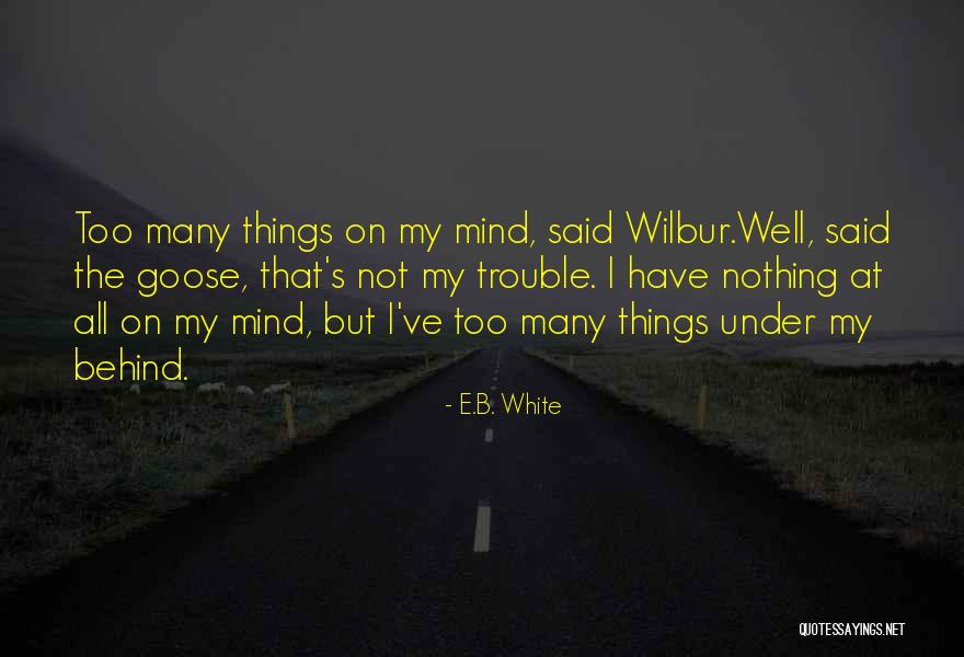 Pippo Perez Quotes By E.B. White