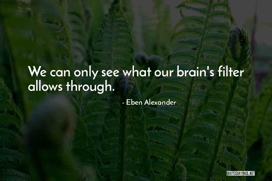 Pippo Perez Quotes By Eben Alexander