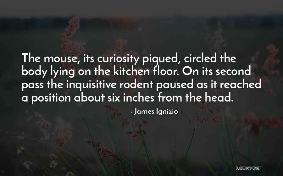 Piqued Quotes By James Ignizio Piqued Quotes By James Ignizio