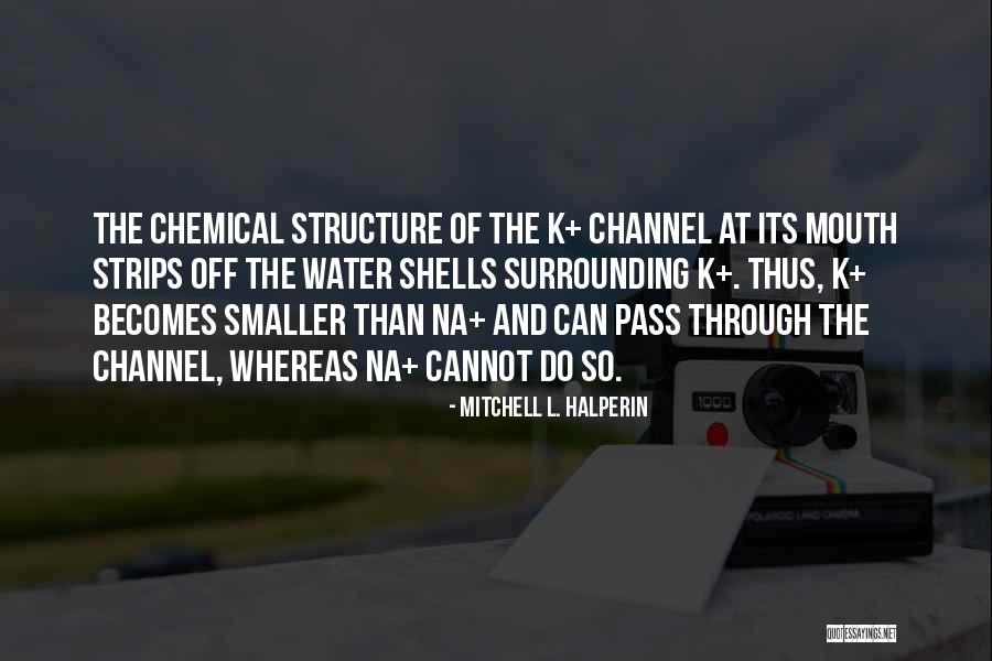 Piquemal Bronze Quotes By Mitchell L. Halperin Piquemal Bronze Quotes By Mitchell L. Halperin