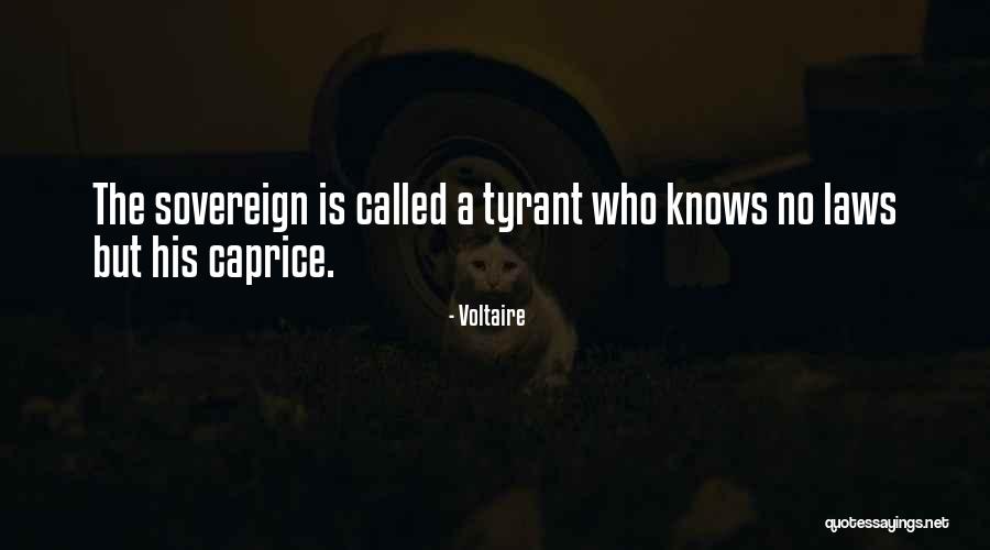 Piqueras Novel Quotes By Voltaire Piqueras Novel Quotes By Voltaire