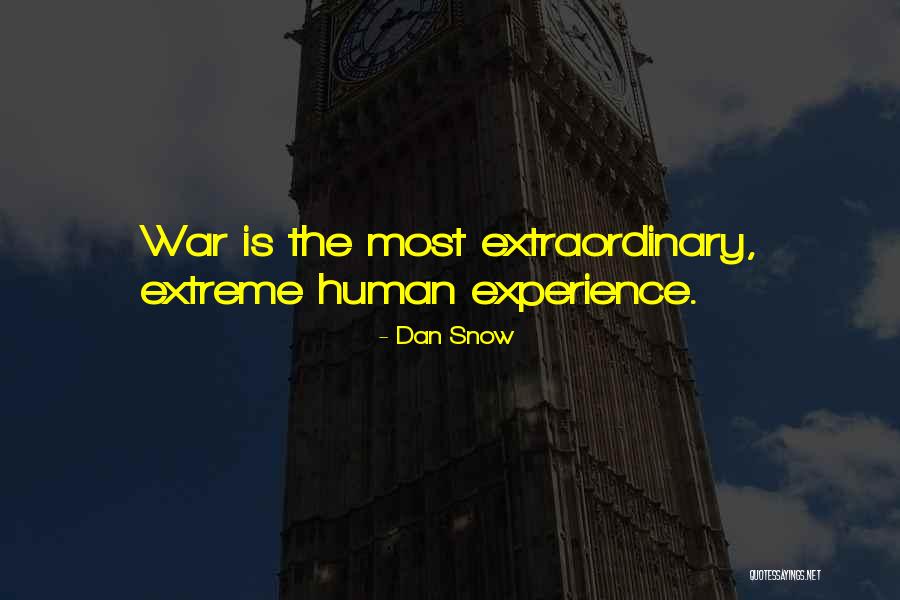 Piquionne Quotes By Dan Snow Piquionne Quotes By Dan Snow