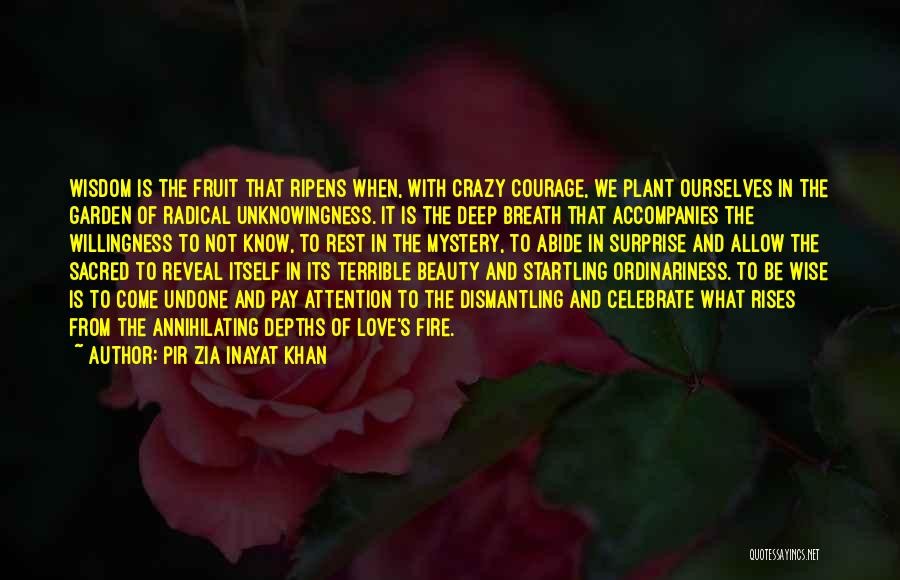 Pir Zia Inayat Khan Quotes 1446755