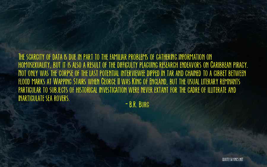 Piracy At Sea Quotes By B.R. Burg