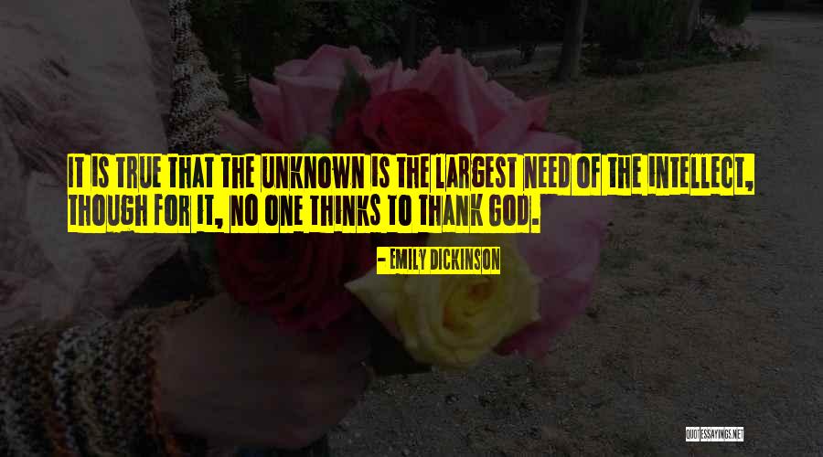 Piragibe Imobiliaria Quotes By Emily Dickinson Piragibe Imobiliaria Quotes By Emily Dickinson