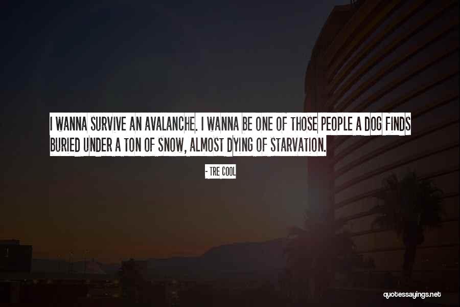 Pirard Hannut Quotes By Tre Cool Pirard Hannut Quotes By Tre Cool