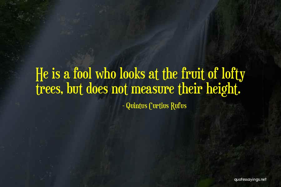 Pirasteh Artist Quotes By Quintus Curtius Rufus Pirasteh Artist Quotes By Quintus Curtius Rufus