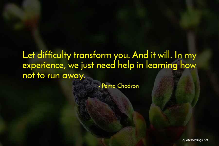 Pirate Bays Quotes By Pema Chodron Pirate Bays Quotes By Pema Chodron