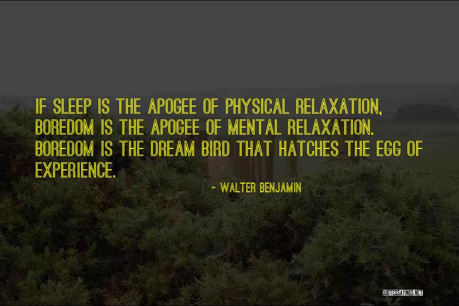 Pirate Bays Quotes By Walter Benjamin Pirate Bays Quotes By Walter Benjamin