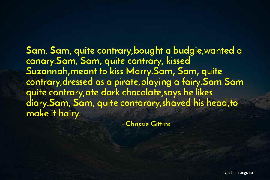 Pirate Fairy Quotes By Chrissie Gittins Pirate Fairy Quotes By Chrissie Gittins