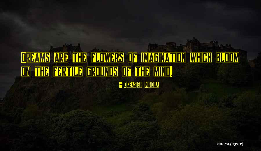 Pirate Fairy Quotes By Debasish Mridha Pirate Fairy Quotes By Debasish Mridha