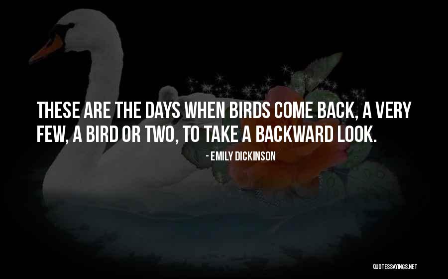 Pirateria Han Quotes By Emily Dickinson Pirateria Han Quotes By Emily Dickinson