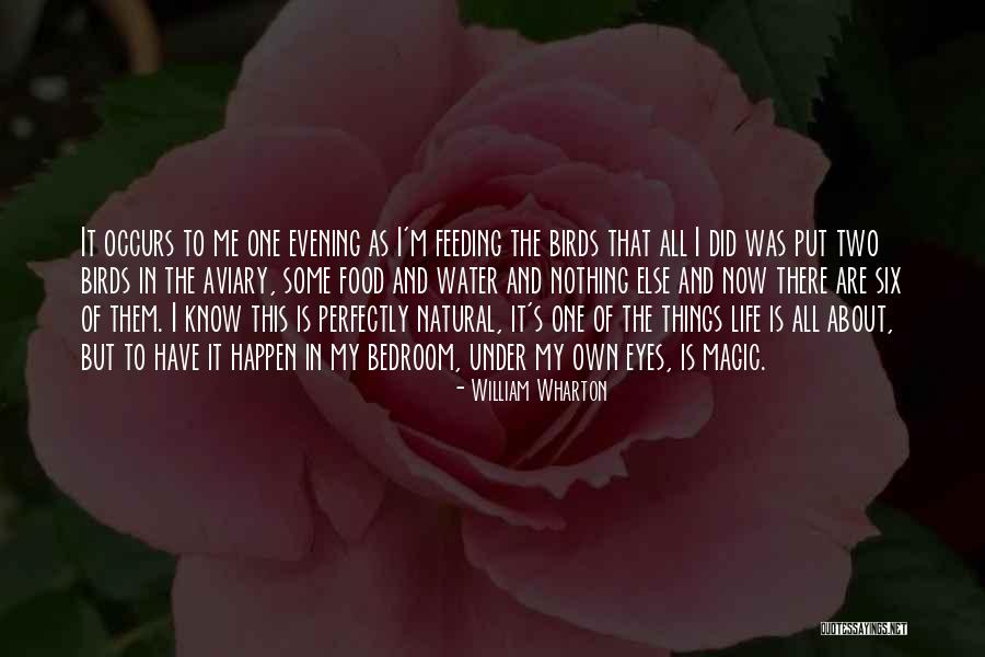 Pirimidin Rna Quotes By William Wharton Pirimidin Rna Quotes By William Wharton
