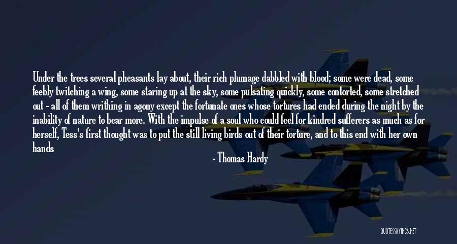 Pirineos Aragones Quotes By Thomas Hardy Pirineos Aragones Quotes By Thomas Hardy