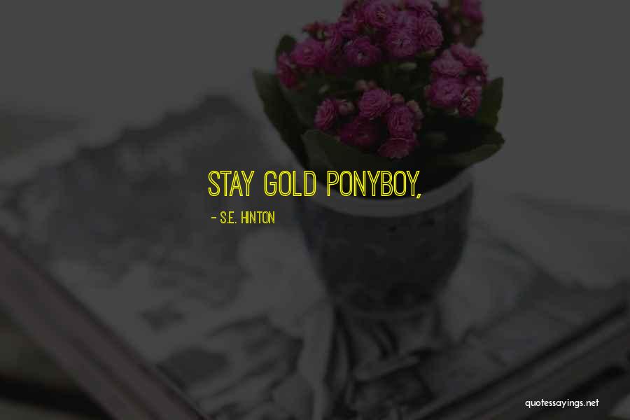 Pirkko And Troy Quotes By S.E. Hinton Pirkko And Troy Quotes By S.E. Hinton