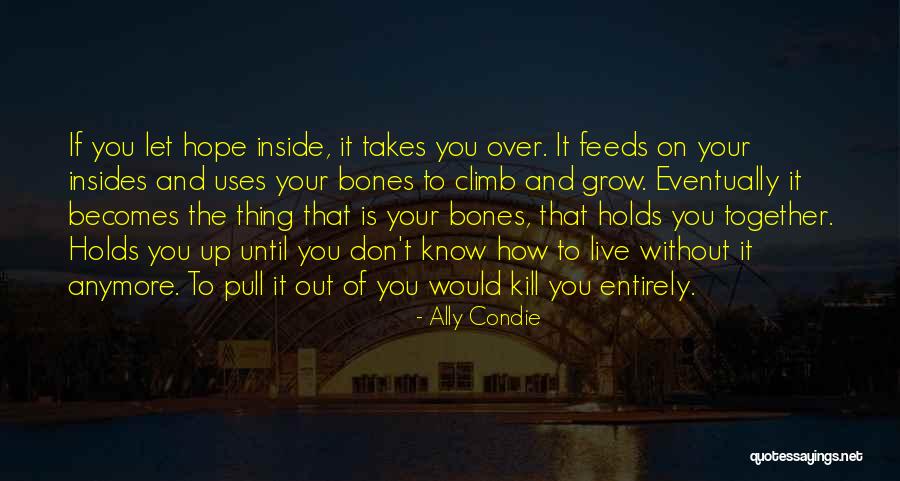 Pirkko Lawlor Quotes By Ally Condie