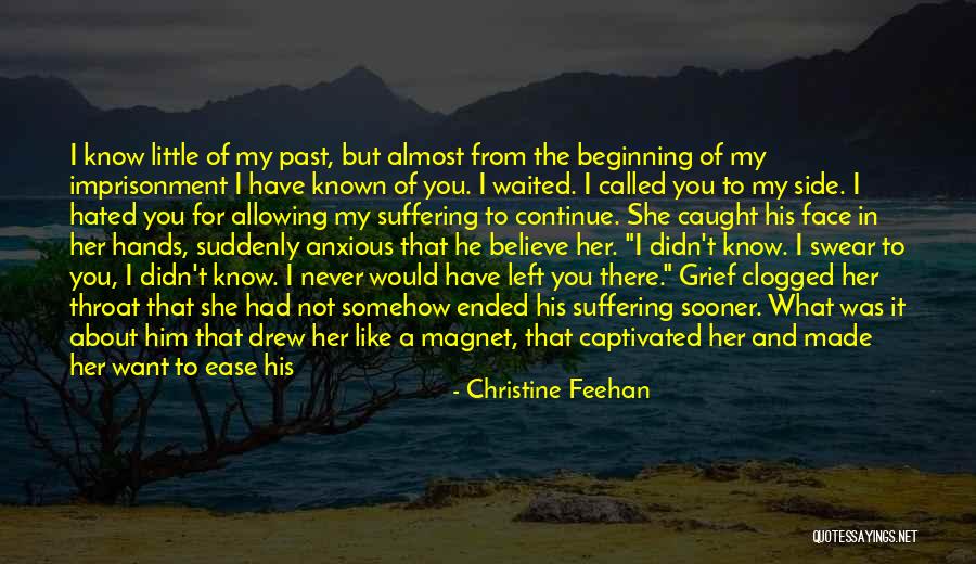 Pirometru Quotes By Christine Feehan Pirometru Quotes By Christine Feehan