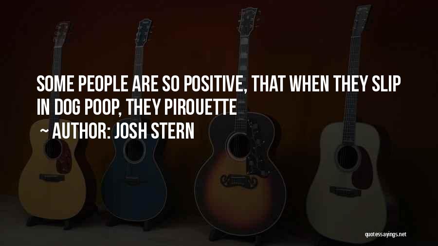 Pirouette Quotes By Josh Stern